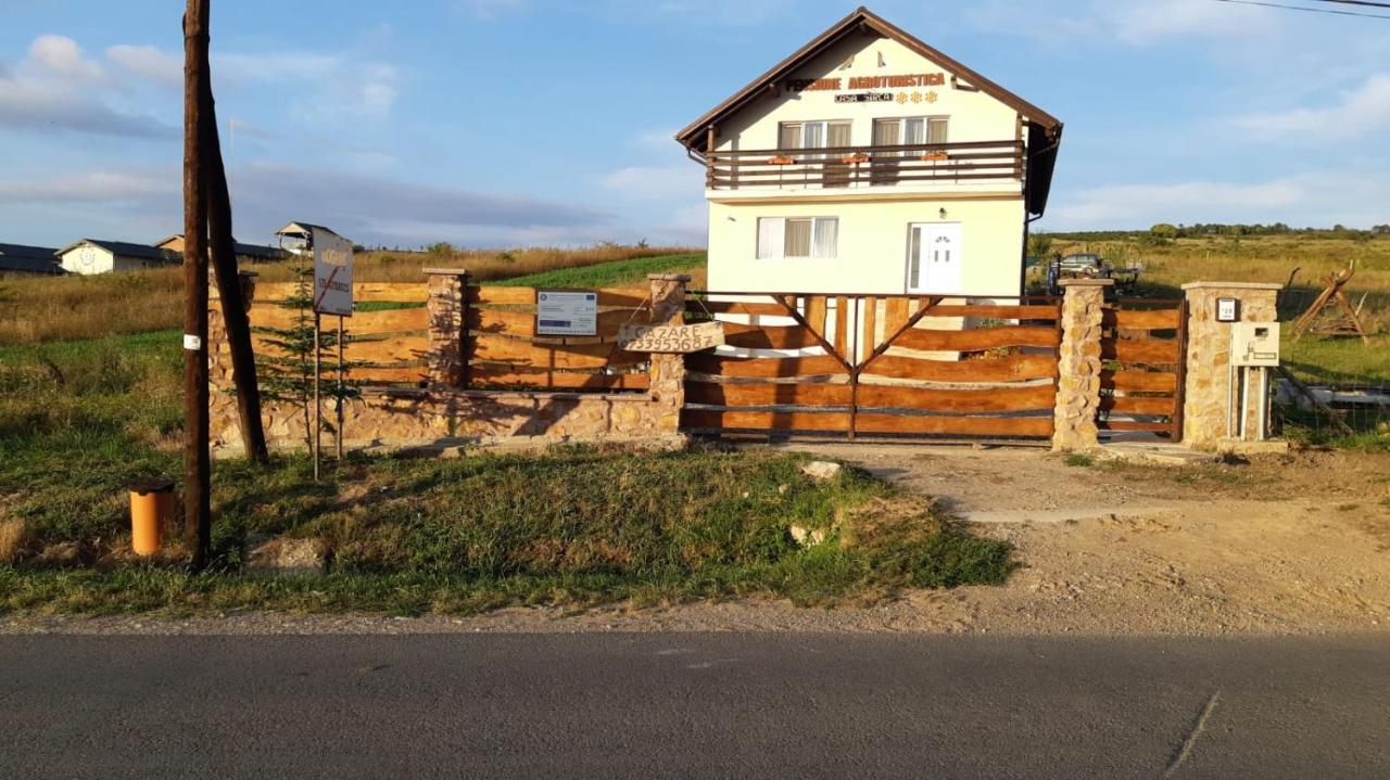 Pensiunea agroturistica Casa Sirca Boghiş Exterior foto