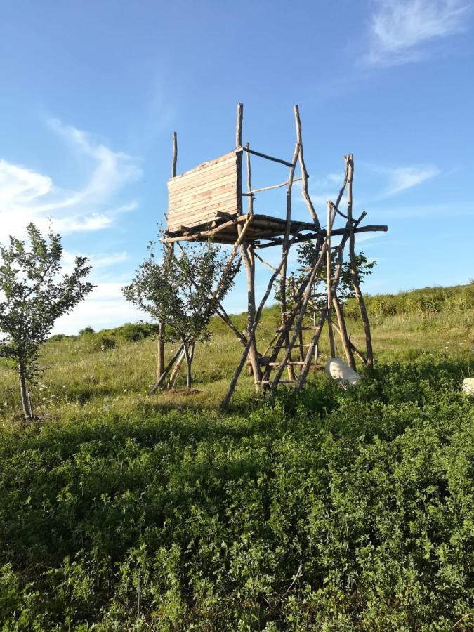 Pensiunea agroturistica Casa Sirca Boghiş Exterior foto