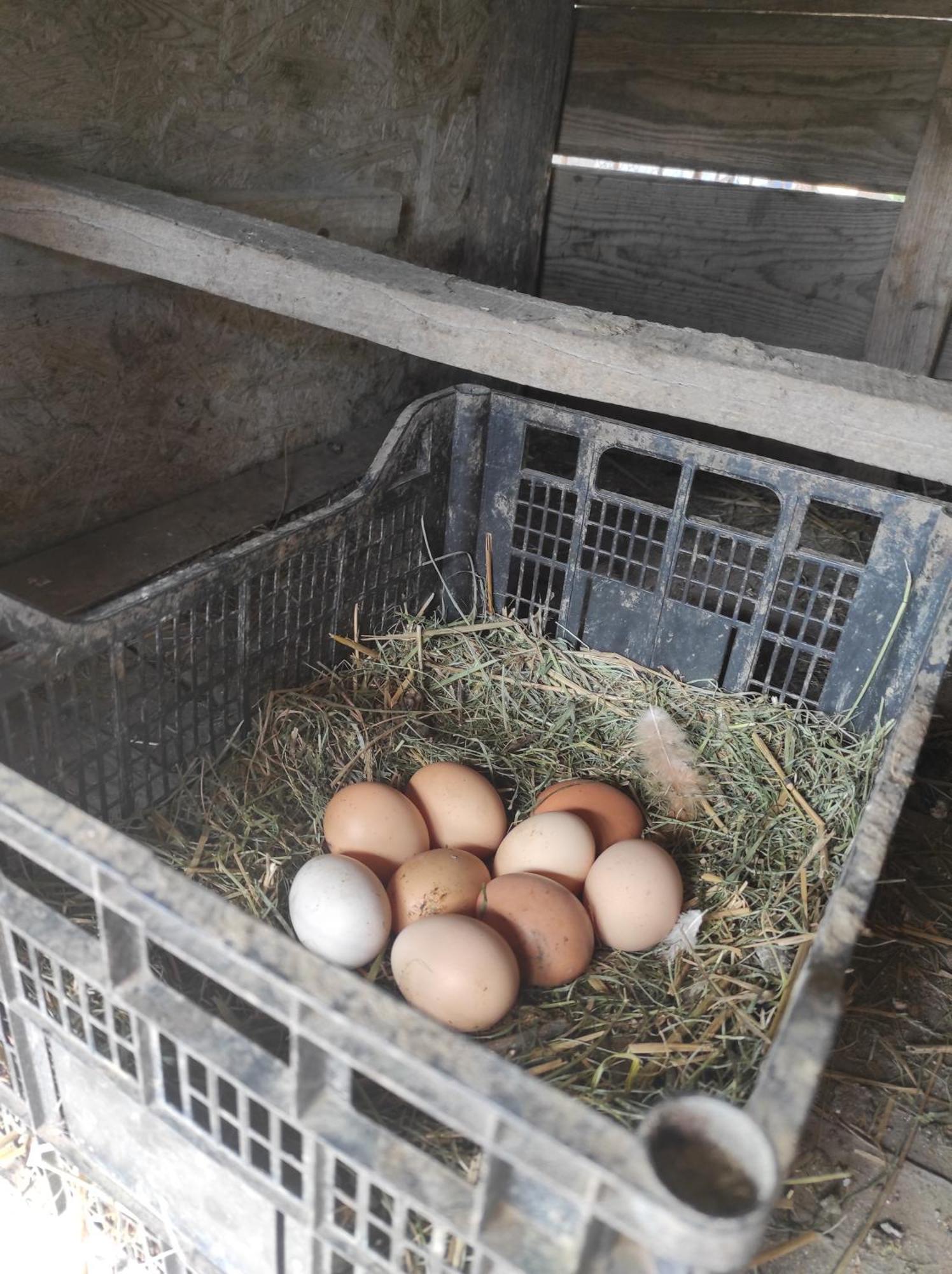 Pensiunea agroturistica Casa Sirca Boghiş Exterior foto